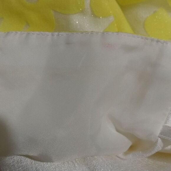 Beautiful Silk Dress - Picture 7 of 7